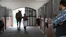 Tera joy gets fucked by stylish man!