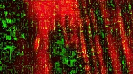 I'M fucking Kali Ryder in the sex dungeon, moaning loudly with deepthroat and doggystyle