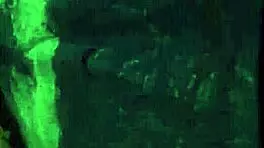 the slut is bound in hardcore bondage for a rough outdoor gangbang