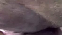 Come Lick My Wet Lips!