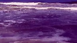 Sex On The Beach Beach Vacation Pt1 With Fat Curvy Pussy Wet Muscular Cock Black Cum