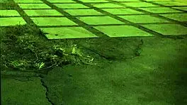 do you like trampling domination on this teen?