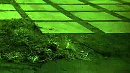 do you like trampling domination on this teen?