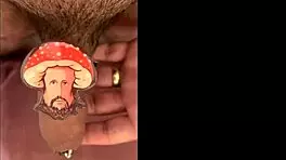 Seasonal compilation gift