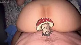 Seasonal compilation gift