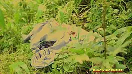 एबोनी लातीना गार्डन थ्रीसम में मजा लेती है बाहर