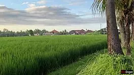 thanked a stranger with my pussy after he helped me with my bike - creampie