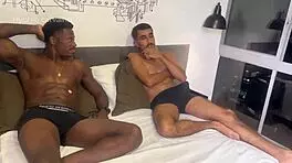 2 gatas com 2 dotados no pelo, video completo 😍