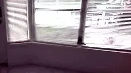 Voyeur Stepdad Watching Stepdaughter & Stepson Fucking