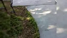 बड़ी गांड वाली बड़ी चूचियों वाली 18+ लड़की सेंसुअल पोज में