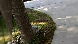 Teen with big ass and big tits in sensual pose.