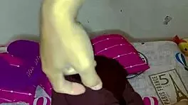 Muslim wife enjoys intimate moment with vibrator