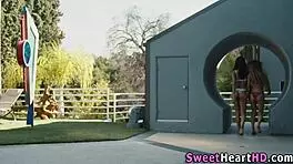 Face Riding Latina Les, Their Bodies Grinding In Scissoring Passion