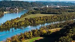 Young Spanish Girl Rides Victor Bloom In Car