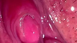 amateur pink pussy explored 187 days post-virginity with wet licks