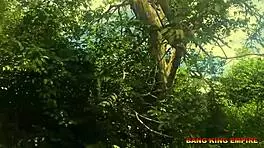 Halloween Hardcore Orgy With Big Black Cock And Ebony Orgasm