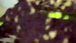 The free sfw version of my first ever pornlog