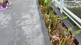 Babe From Yoga Class Gets Penetrated In POV