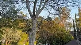 The free sfw version of my first ever pornlog