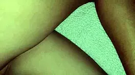 Arbusto de tu cuñada te gusta