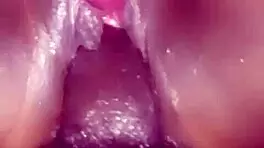 festa da pisssa compilation