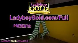 Curvy big dick Asian ladyboy performs POV blowjob and raw anal sex passionately