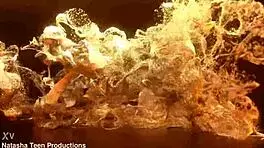 New teen anny houston takes first interracial anal creampie