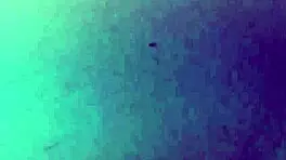 Sexo Arriscado Em Público Com Uma Petite Magra Com Buceta Apertada Na Piscina