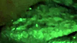 black lynn ties ponytail to suck my huge cock deep