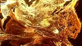 Flexy teen 18+ lenis diamod hardcore anal 3 on 1 bbc