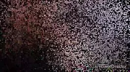 Young bent over in doggystyle round asses