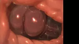 Whisperingfornothing Animated Furry Porn Cumpilation