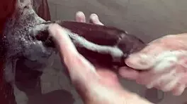 Big Step Sister Plays With Step Brother Monster Bbc While Parents Arent Home