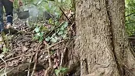 Indian Whore Invites Fucking In Forest To Avoid Husband