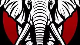 महिला प्रभुत्व