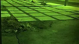 Nurses teen anal first time in bdsm orgy