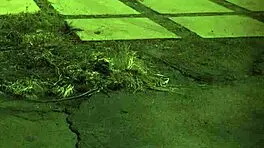 i get fucked with feet fetish for first time