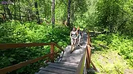 Remote Controlled Vibrator in Park - Sweet Girl Gets an Orgasm