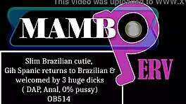 Slim Brazilian Cutie Gih Spanic Returns To Brazilian Dap Anal Pussy Cum Firing Squad Cumshot Bbc 3on1 Ob514