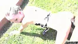 Adorably innocent tiny hole Kate Bloom plowed by BBC.