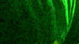 my pussy eater licks black ebony homemade