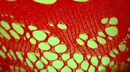 Hot stepsister part 1 big ass