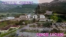 The young female students are learning and playing in the university setting with friends