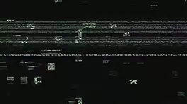 dr tampa explains new immigration policy to american citizens angel santana and yesenia youso