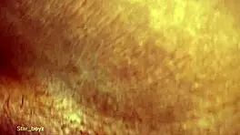 Watch these crazy fucking videos go viral