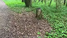 A naughty chick explores outdoor sex in the forest and public places