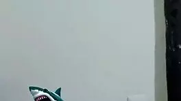 An Italian man contracts a threesome with his pregnant Latina friend in Medellin, Colombia