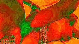 Bold Sex In Cozy Room