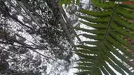 beautiful blonde loses way to halloween party in woods, enjoys woodcutter's cum facial