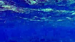 beauty chatting and displaying huge dildo in sexy lingerie costume.